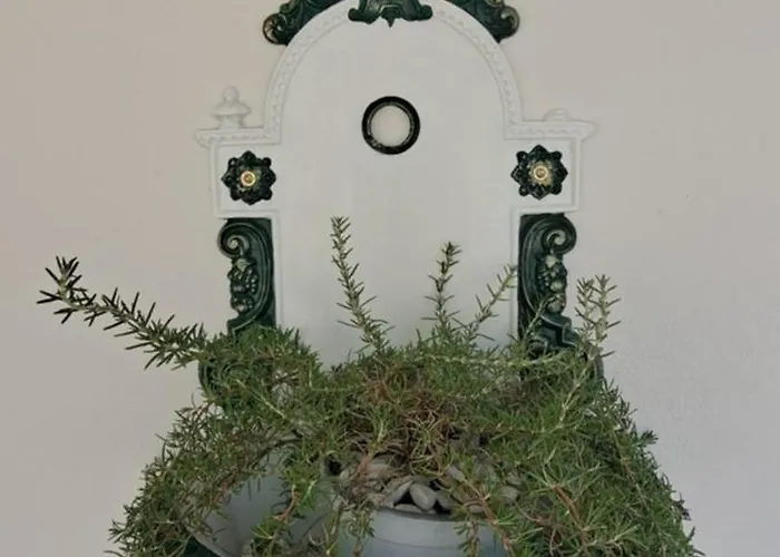 Sol E Vento 公寓 *